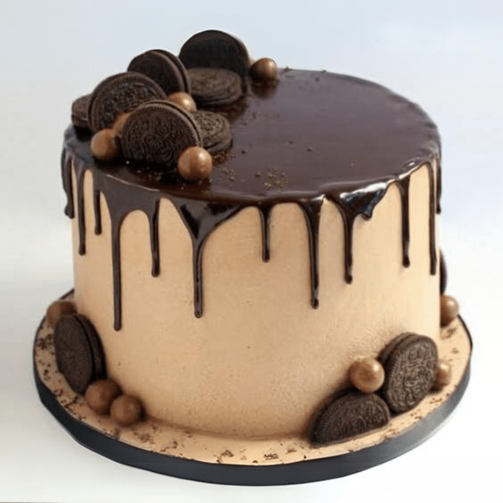 best cake shop in raipur